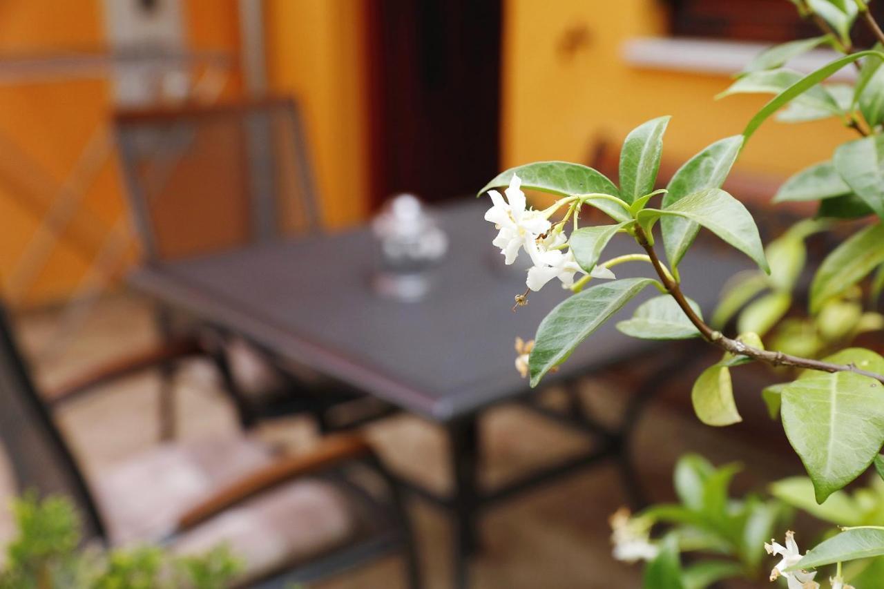 Apartmani Strpic บีโอกราดนาโมรู ภายนอก รูปภาพ